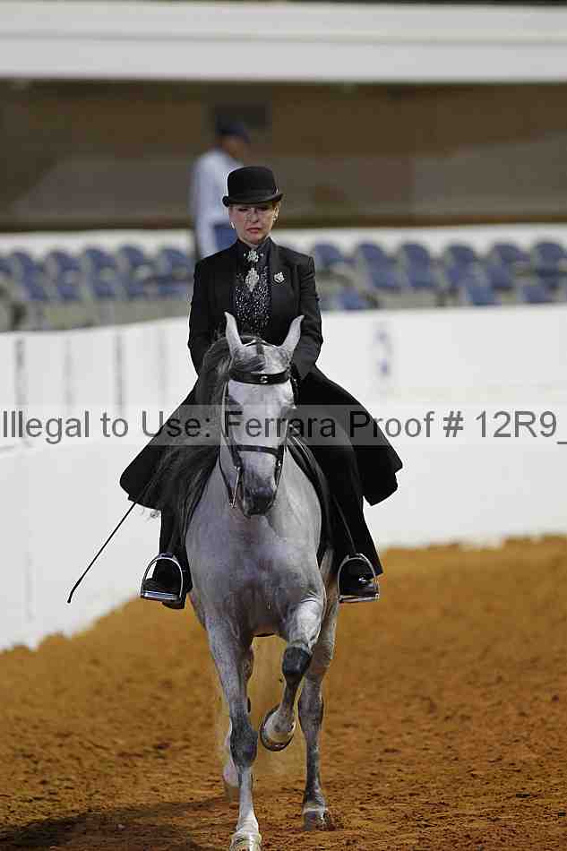 Proof Number 12r9_7678
