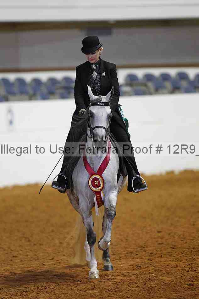 Proof Number 12r9_7698