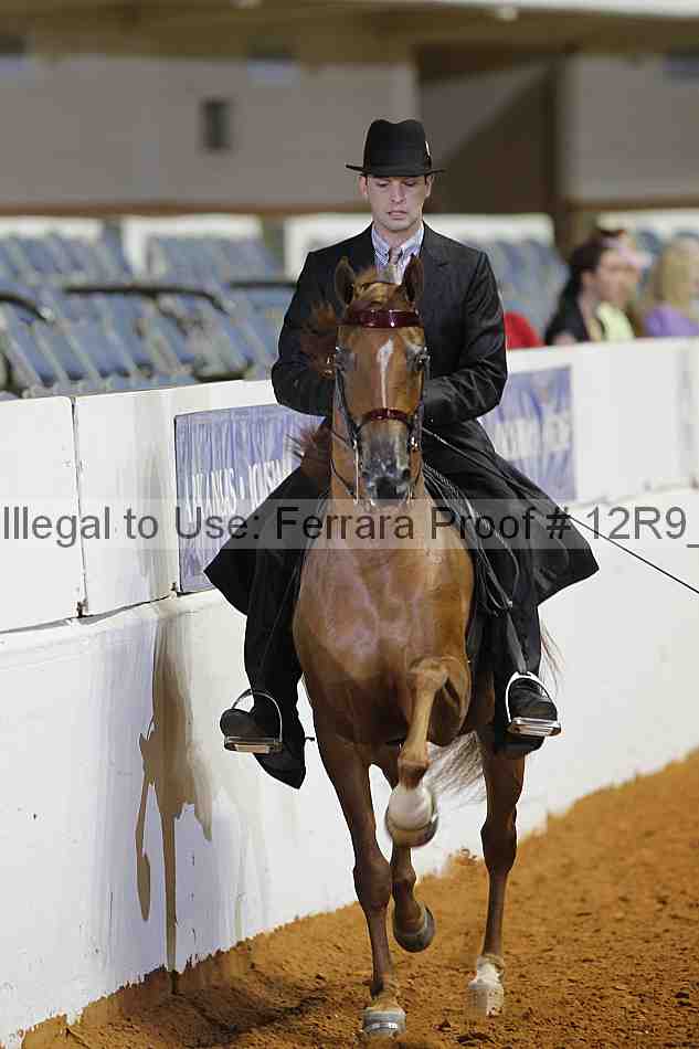 Proof Number 12r9_8049