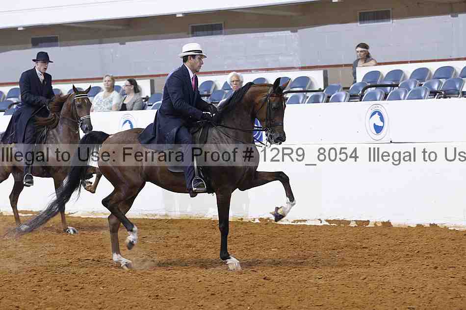 Proof Number 12r9_8054
