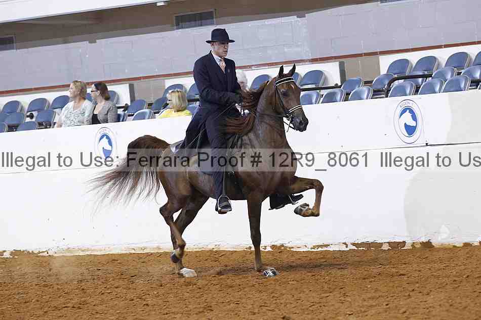 Proof Number 12r9_8061
