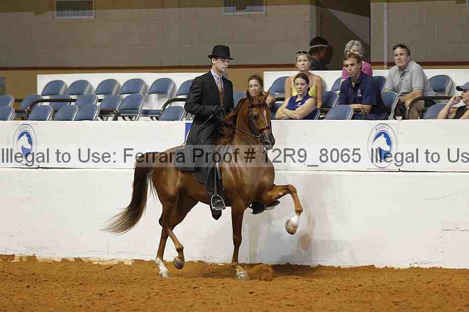 Proof Number 12r9_8065