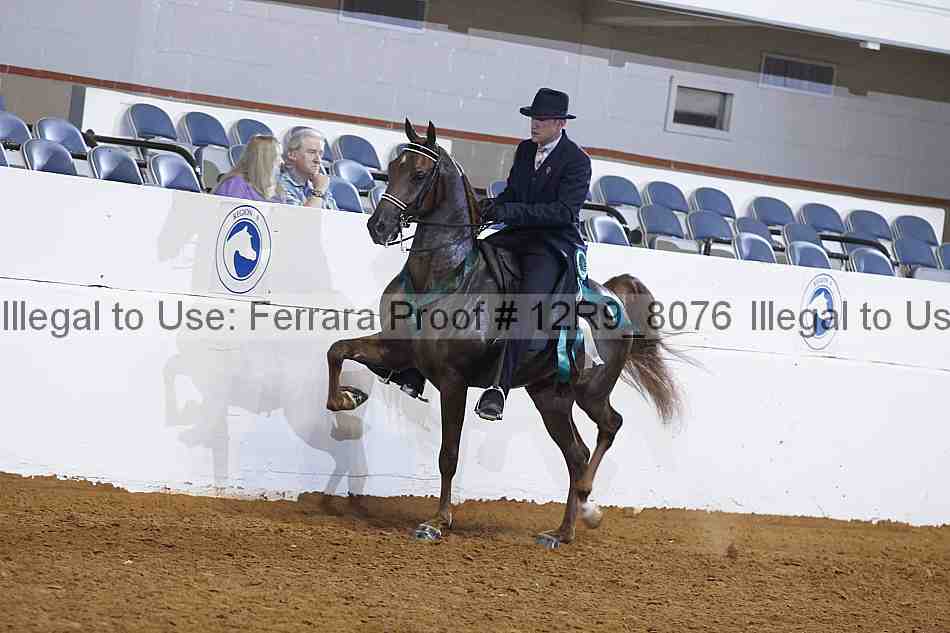 Proof Number 12r9_8076