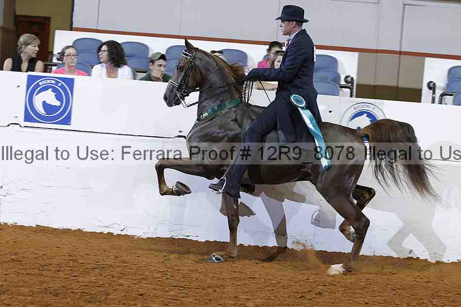 Proof Number 12r9_8078