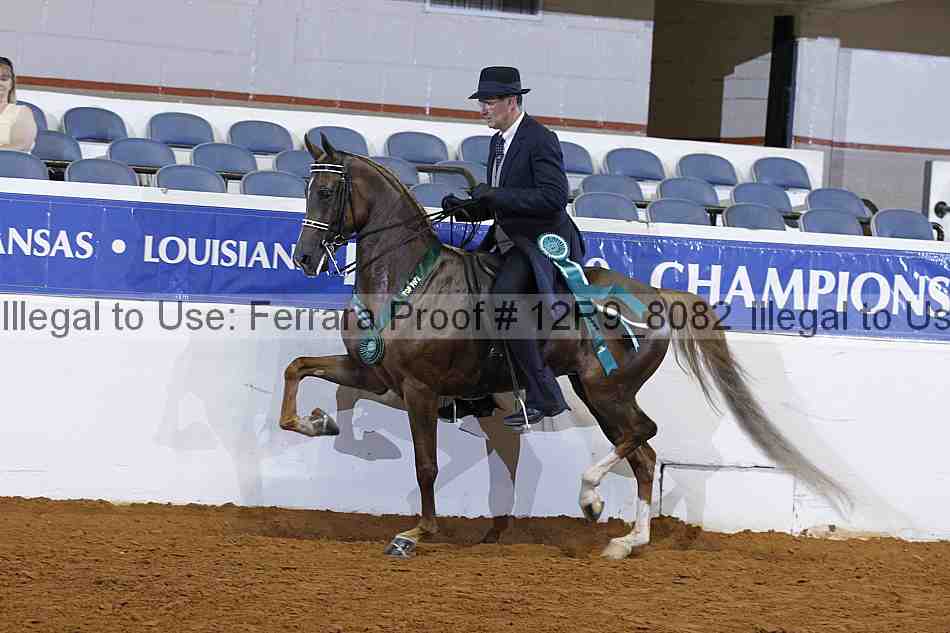 Proof Number 12r9_8082