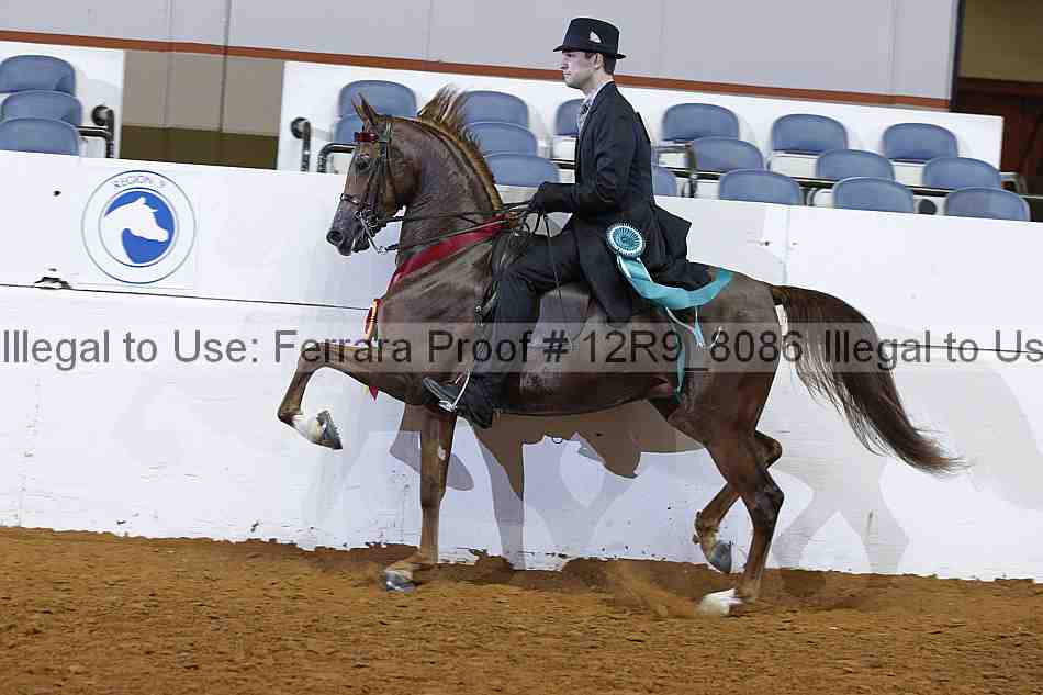 Proof Number 12r9_8086