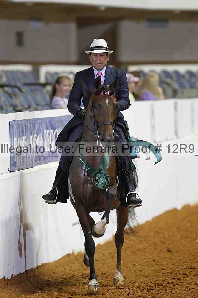 Proof Number 12r9_8087
