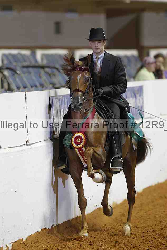 Proof Number 12r9_8093