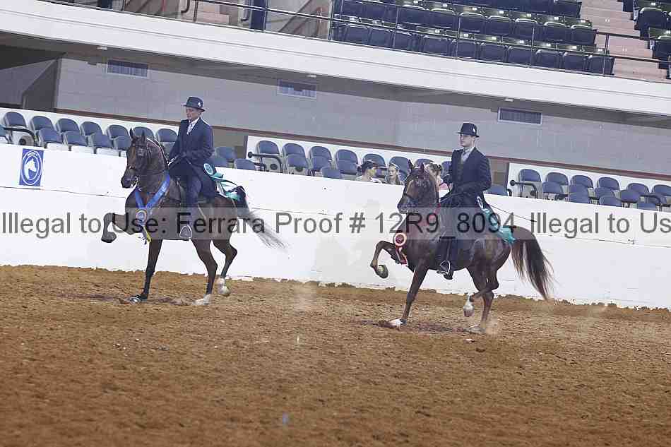 Proof Number 12r9_8094
