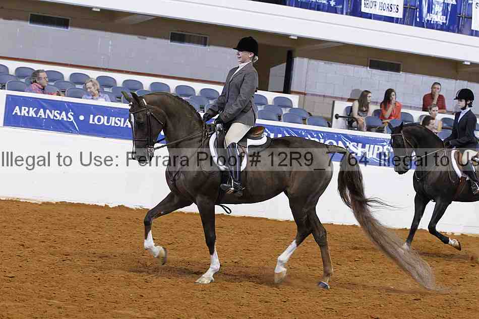 Proof Number 12r9_7764