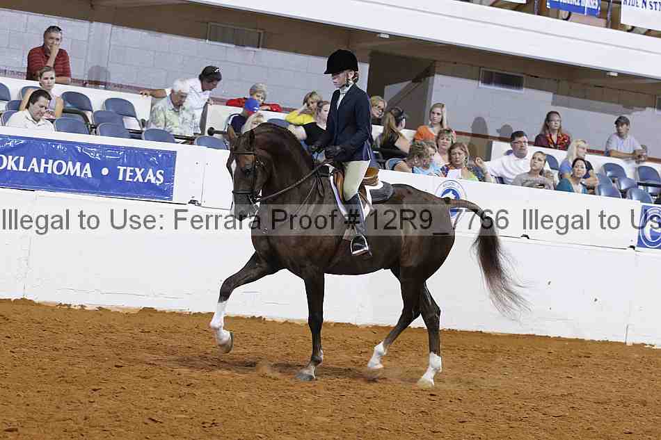 Proof Number 12r9_7766