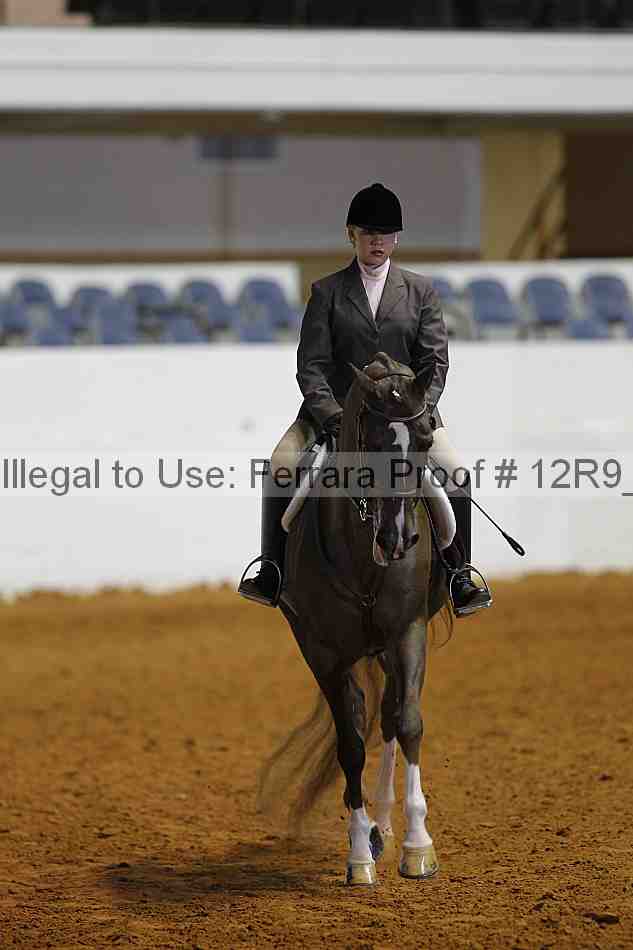 Proof Number 12r9_7771