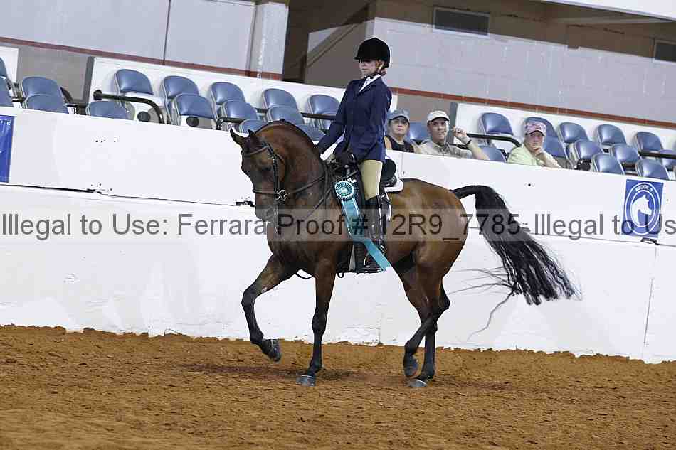 Proof Number 12r9_7785