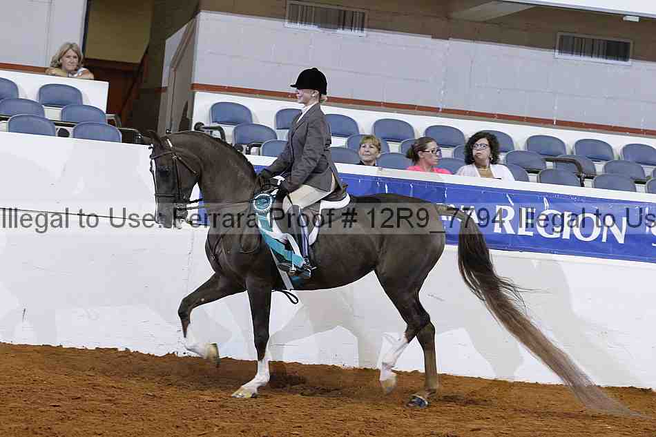 Proof Number 12r9_7794