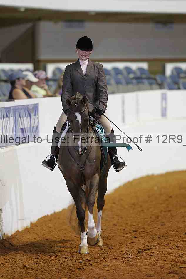 Proof Number 12r9_7803