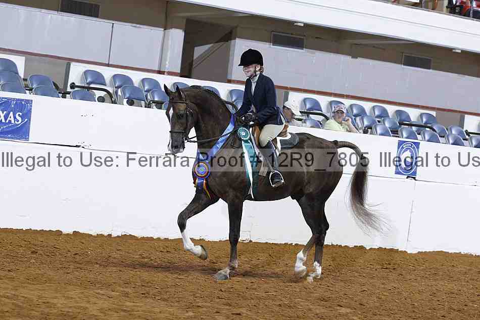 Proof Number 12r9_7805