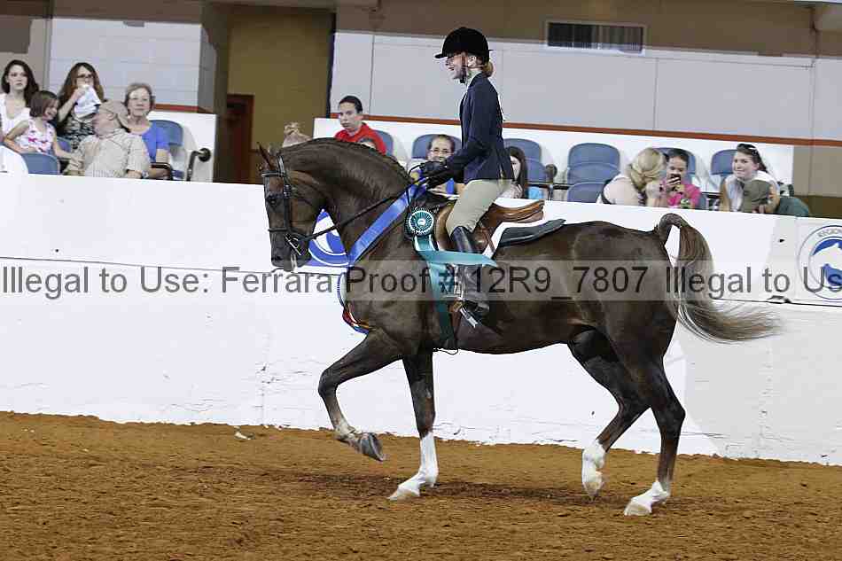 Proof Number 12r9_7807