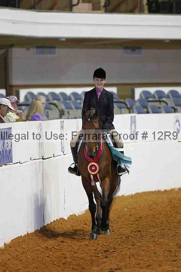Proof Number 12r9_7809