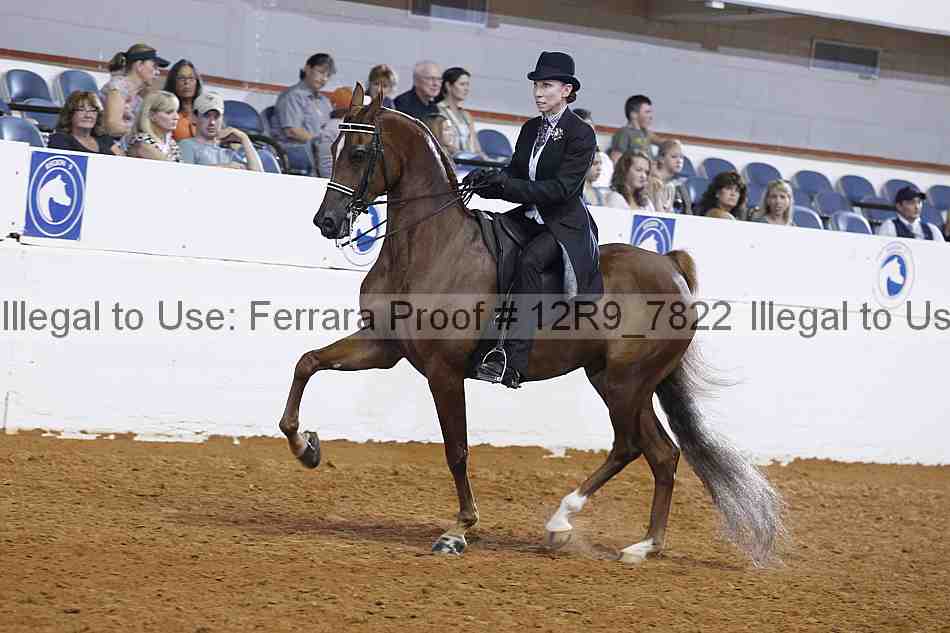 Proof Number 12r9_7822