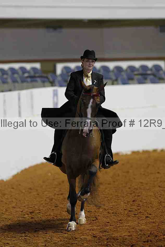 Proof Number 12r9_7836