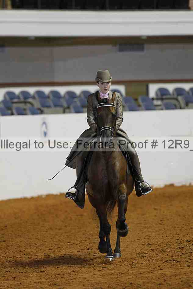 Proof Number 12r9_7838