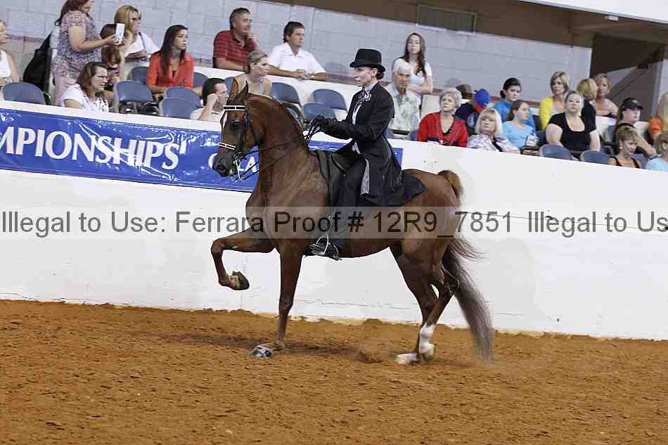Proof Number 12r9_7851