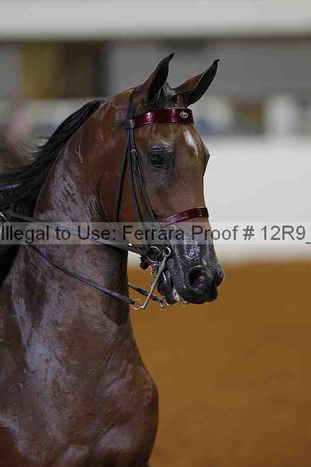Proof Number 12r9_7856