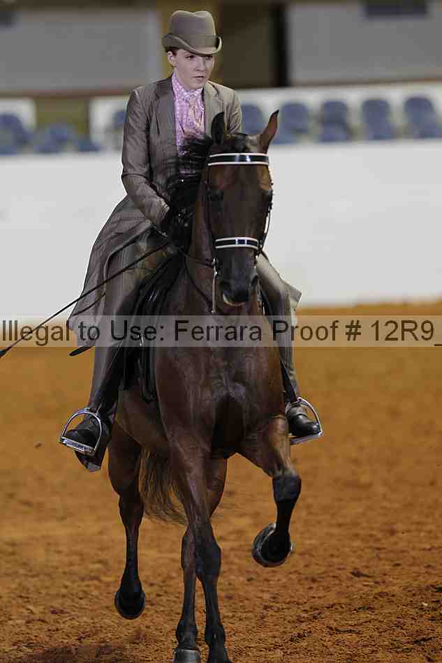 Proof Number 12r9_7874