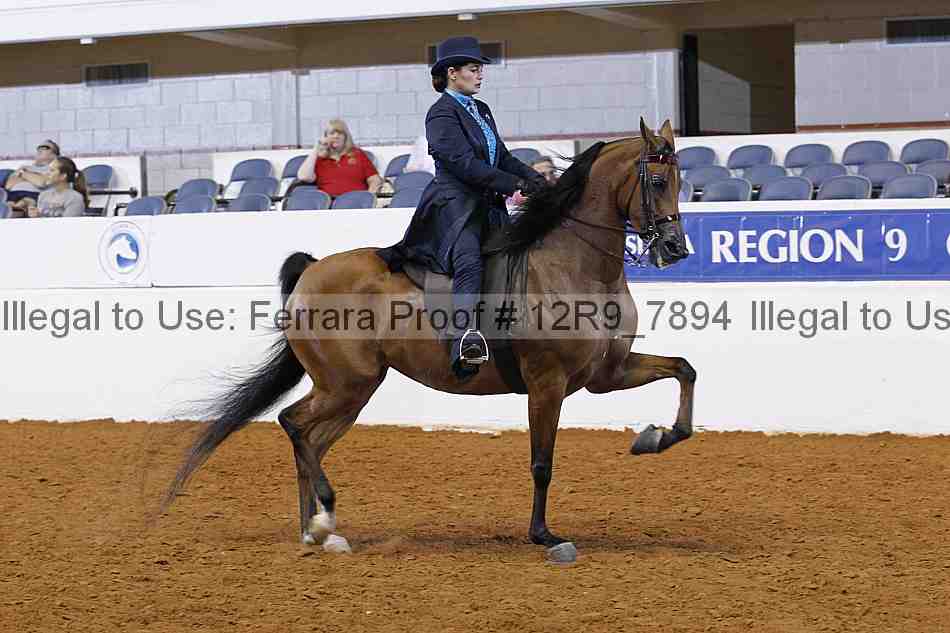 Proof Number 12r9_7894