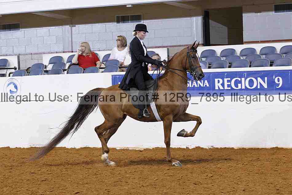 Proof Number 12r9_7895