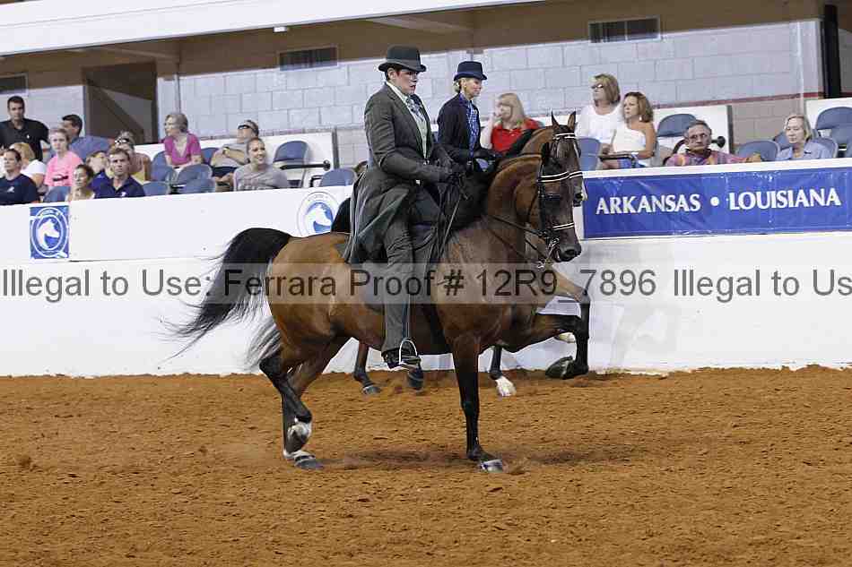Proof Number 12r9_7896