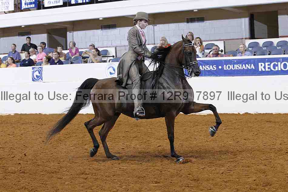 Proof Number 12r9_7897