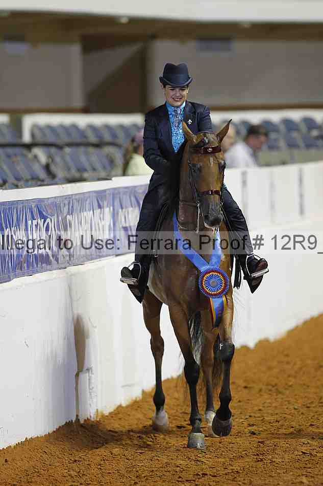 Proof Number 12r9_7908