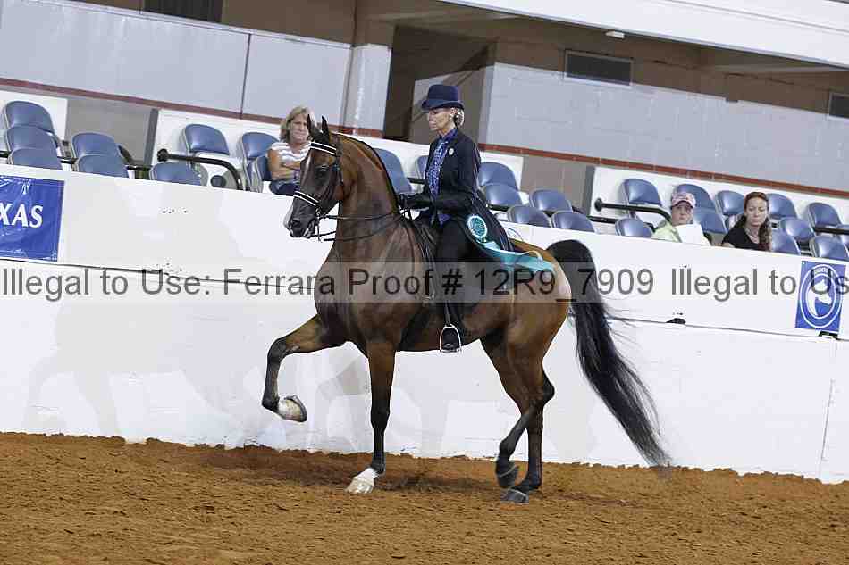 Proof Number 12r9_7909