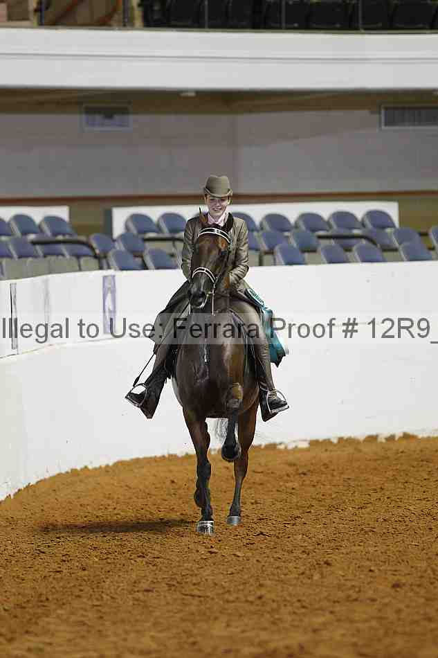 Proof Number 12r9_7916