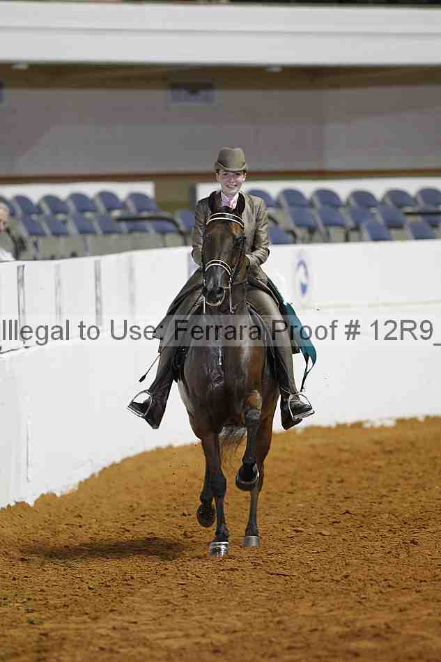 Proof Number 12r9_7917