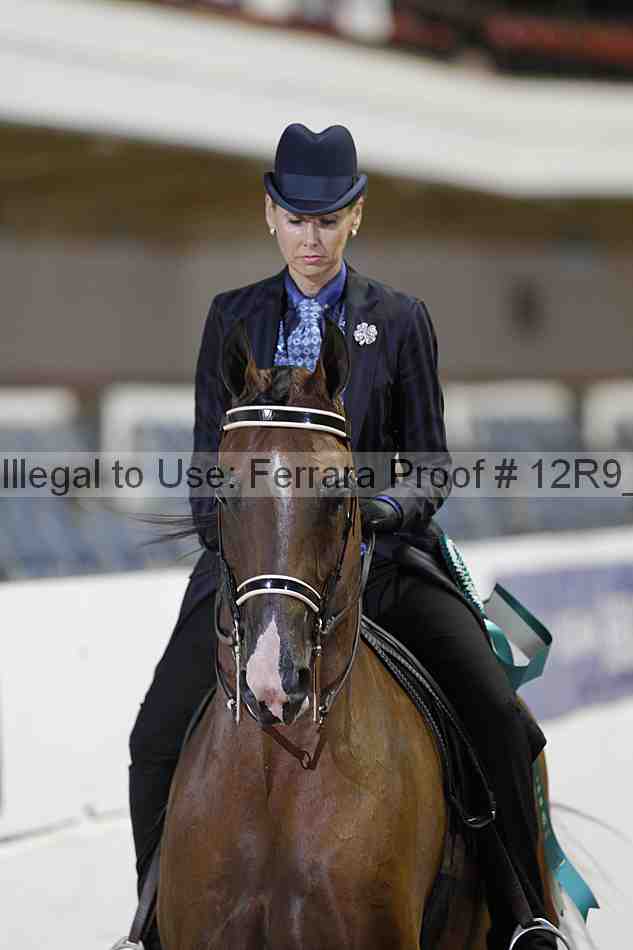 Proof Number 12r9_7925