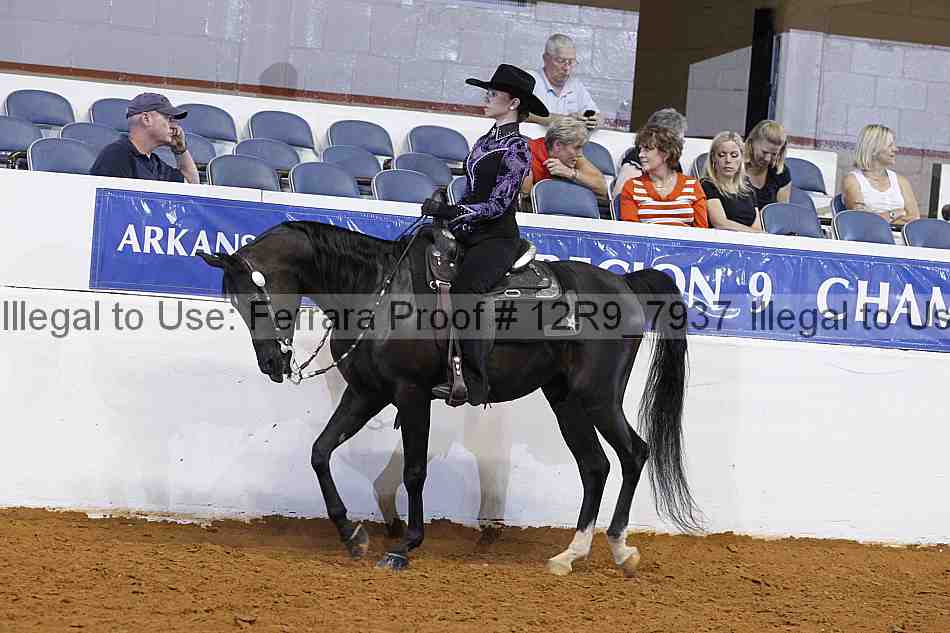 Proof Number 12r9_7937