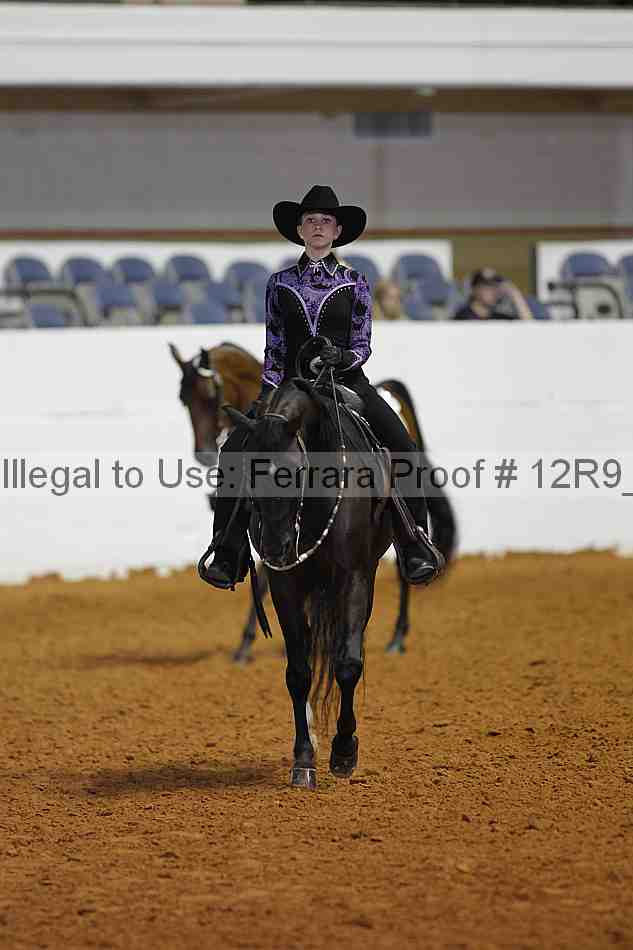Proof Number 12r9_7951