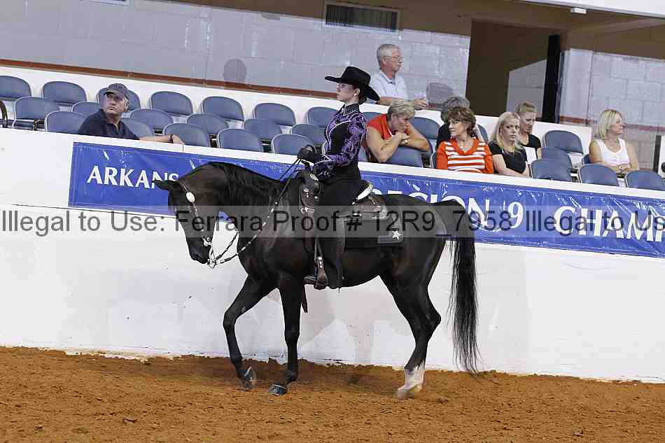 Proof Number 12r9_7958