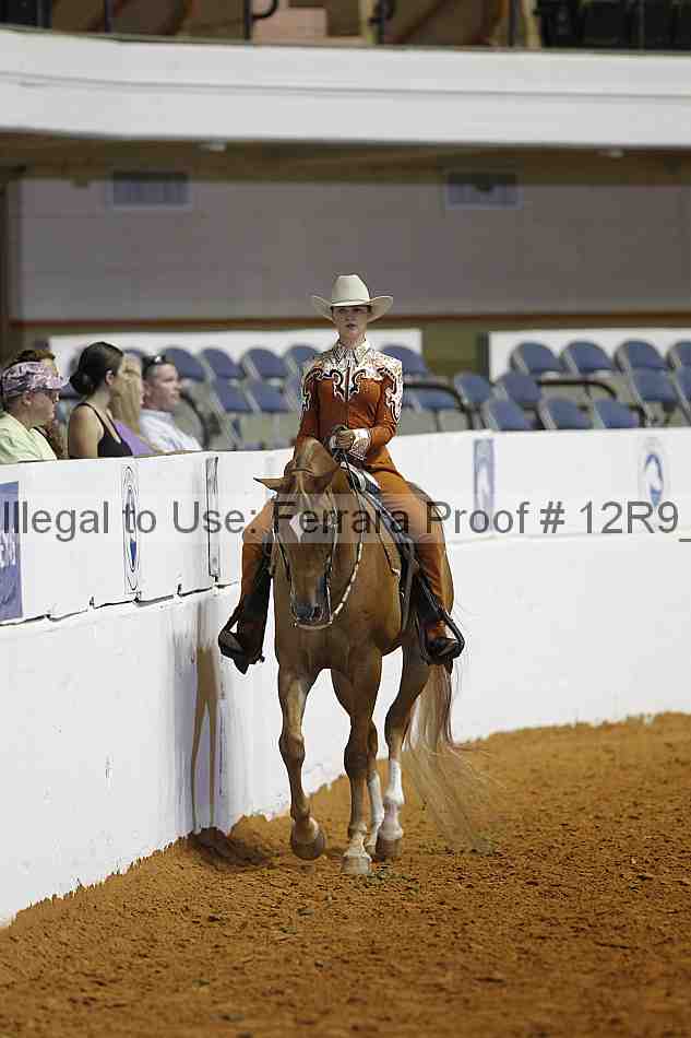 Proof Number 12r9_7963