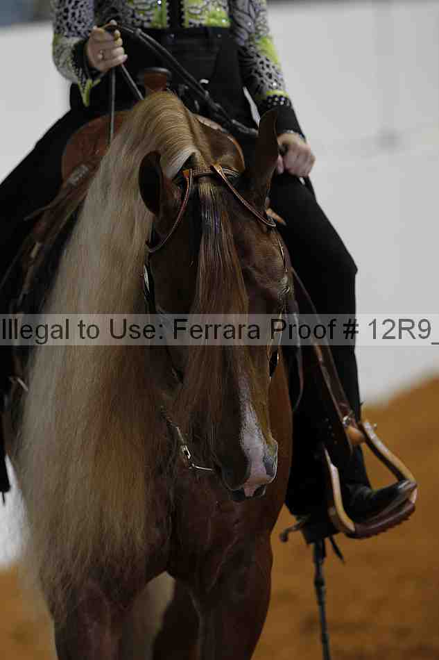 Proof Number 12r9_7970