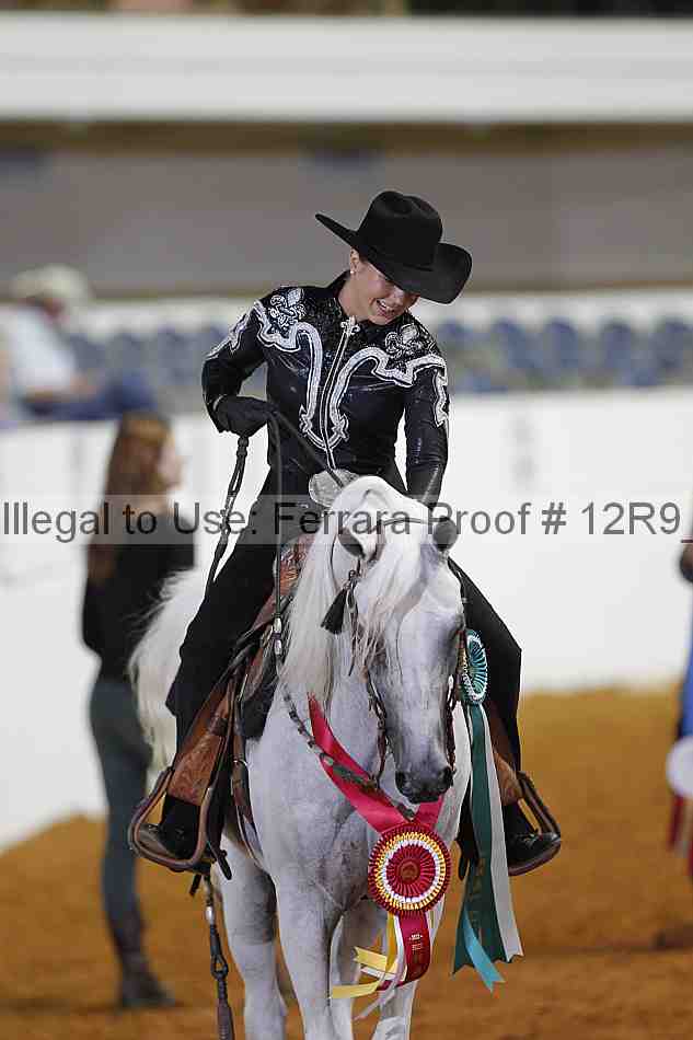 Proof Number 12r9_7981