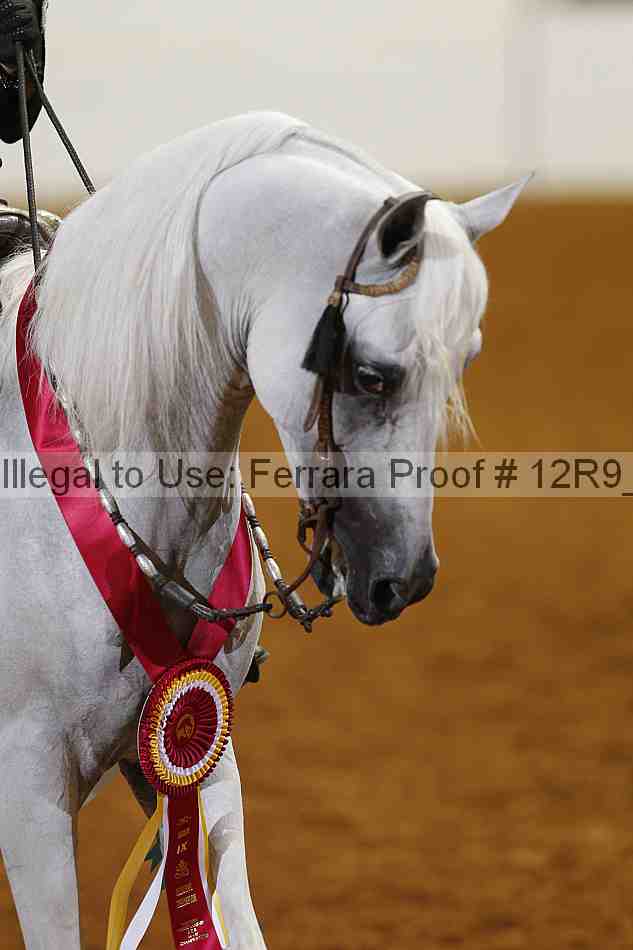 Proof Number 12r9_7983