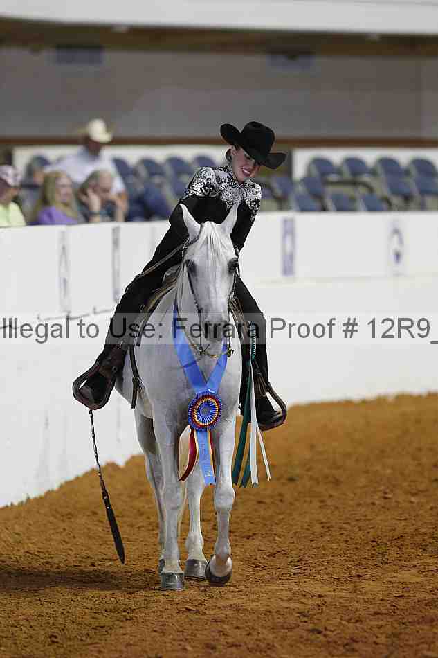 Proof Number 12r9_7990