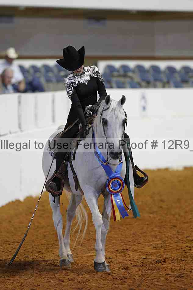 Proof Number 12r9_7993