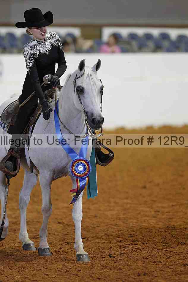 Proof Number 12r9_7995