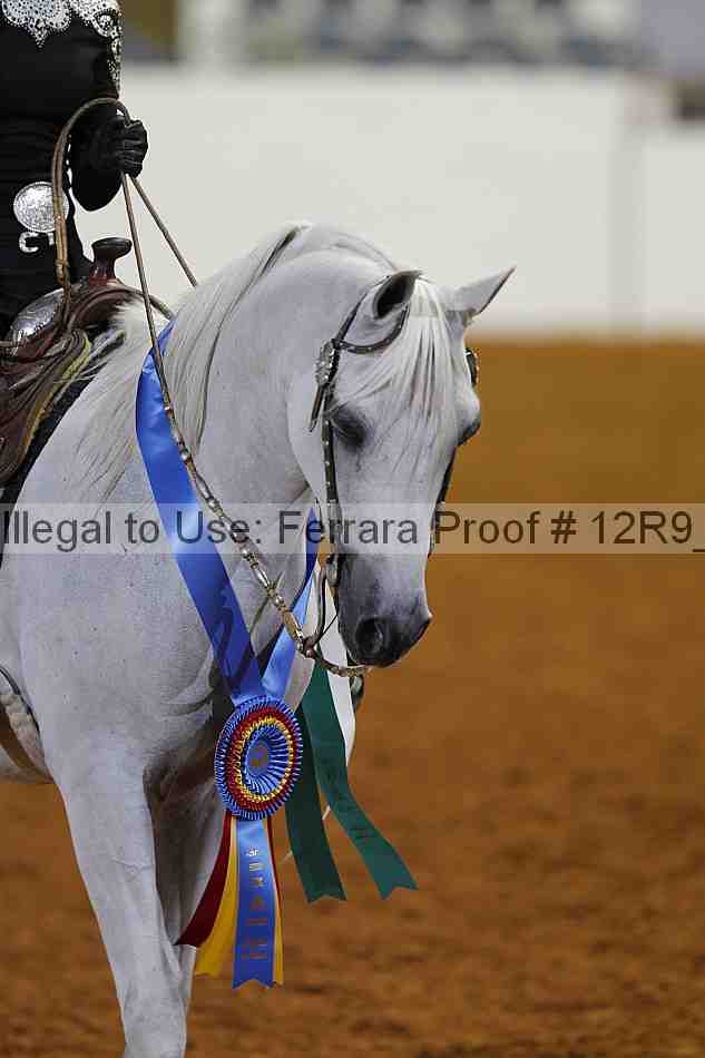 Proof Number 12r9_7996