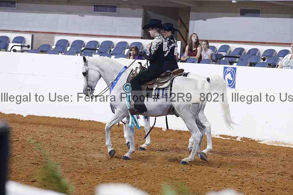 Proof Number 12r9_8021