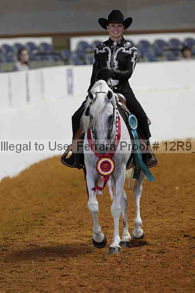 Proof Number 12r9_8023